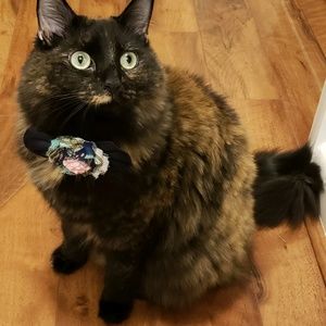 Meet your Posher, Ell